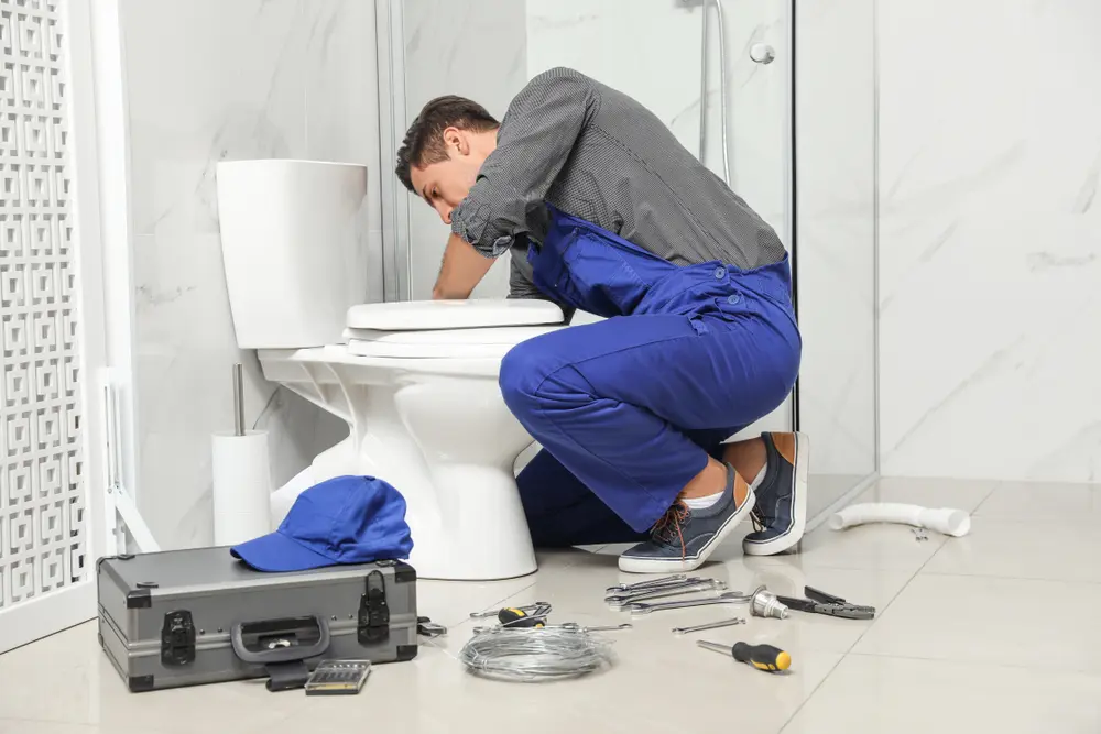 Toilet Installation in Bayview